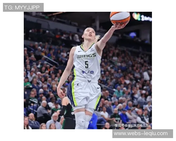 2014年尼克斯与山猫激战回顾球员表现与比赛亮点全解析