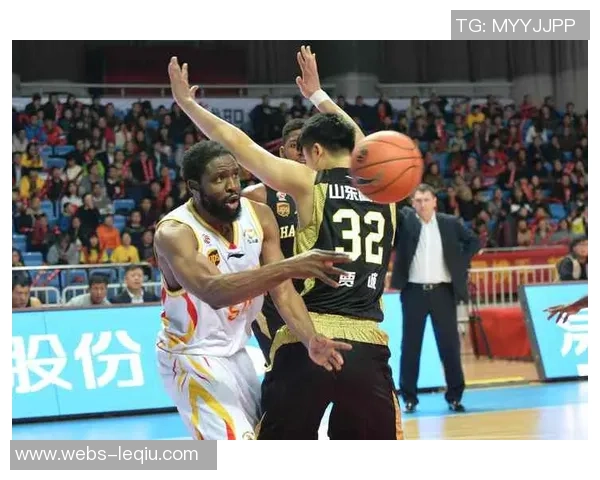 27轮辽宁对阵山东精彩比赛录像回顾与分析